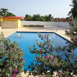 book here