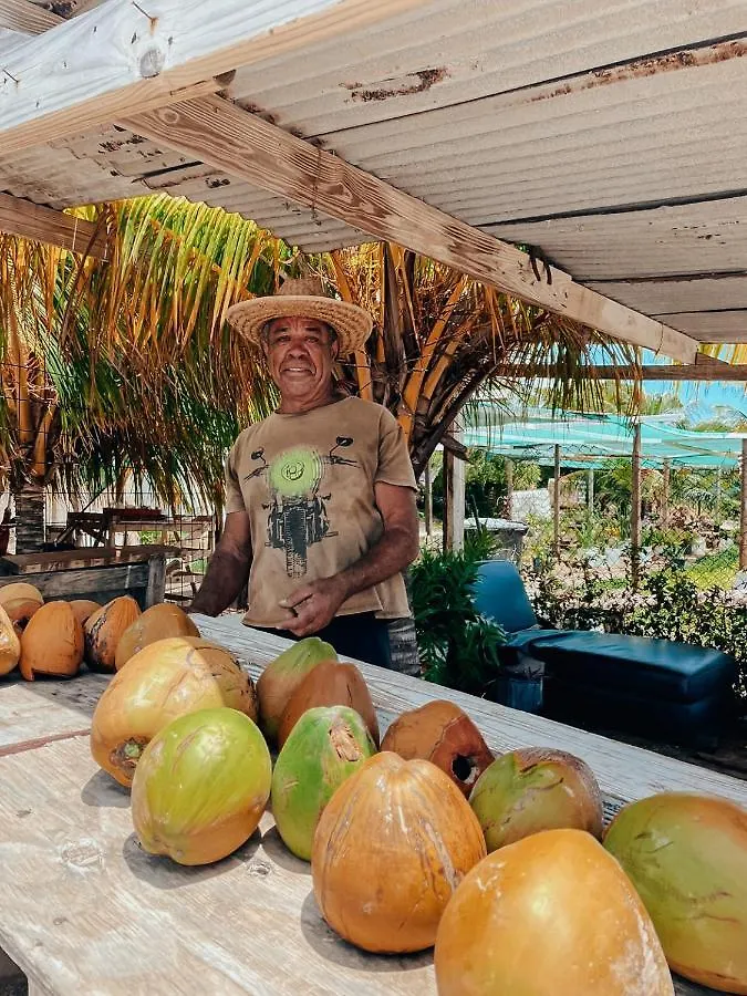 Bijblauw Hotel Willemstad 4*,  Curacao